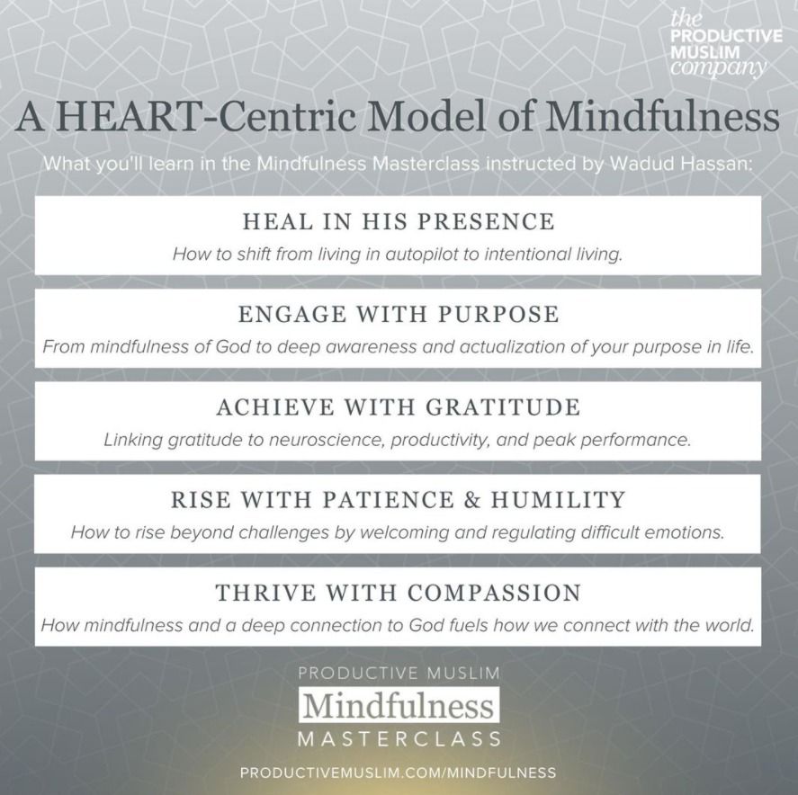 A list of what students will learn in the Mindfulness Masterclass instructed by Wadud Hassan